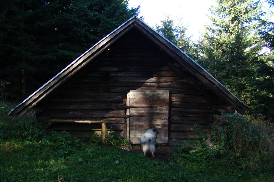 Salatín (Nízke Tatry)