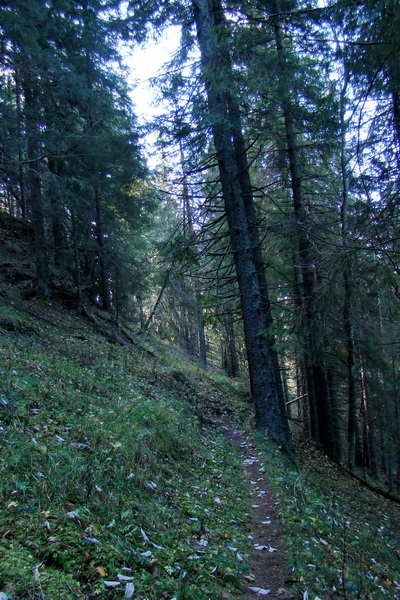 Salatín (Nízke Tatry)