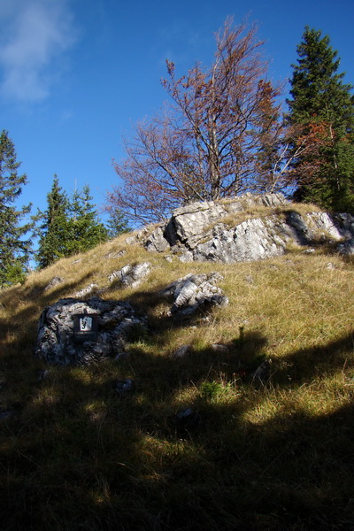 Salatín (Nízke Tatry)