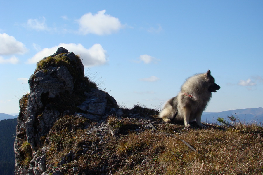 Salatín (Nízke Tatry)