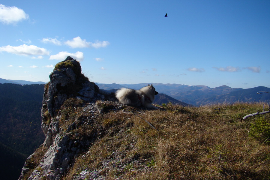 Salatín (Nízke Tatry)