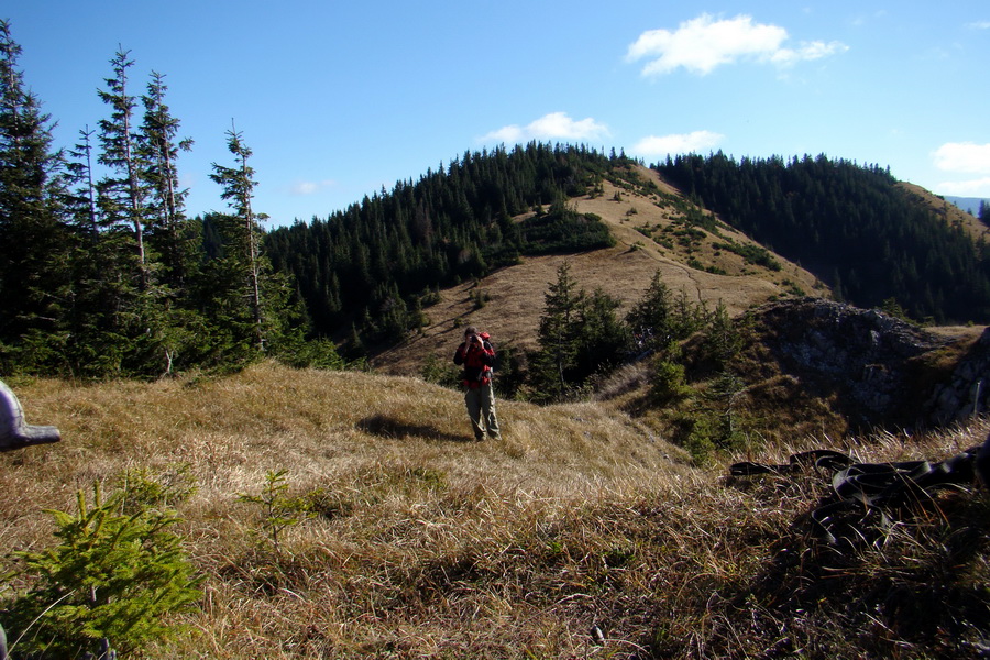 Salatín (Nízke Tatry)