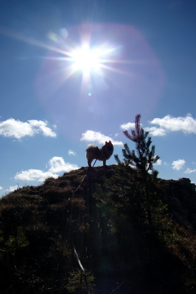 Salatín (Nízke Tatry)