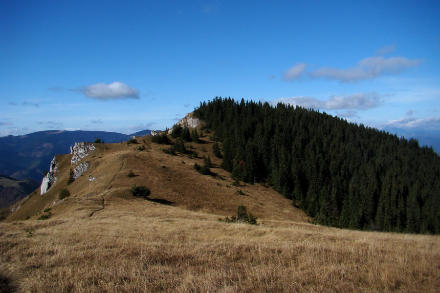 Salatín (Nízke Tatry)