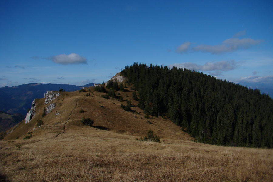 Salatín (Nízke Tatry)