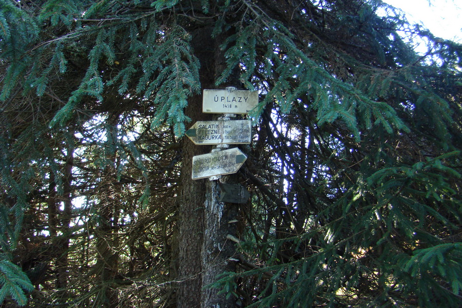 Salatín (Nízke Tatry)