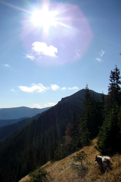 Salatín (Nízke Tatry)