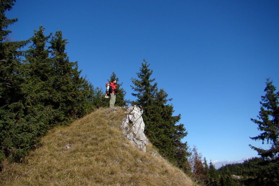 Salatín (Nízke Tatry)