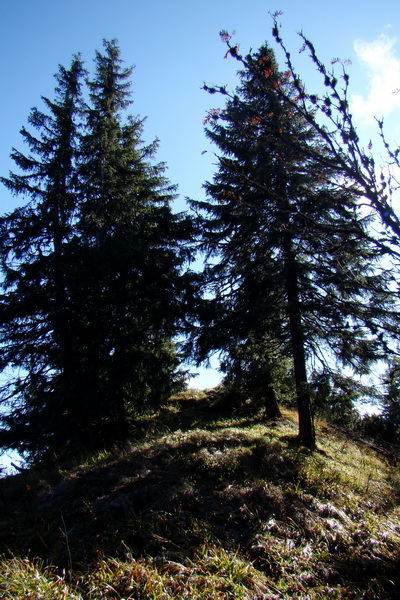 Salatín (Nízke Tatry)