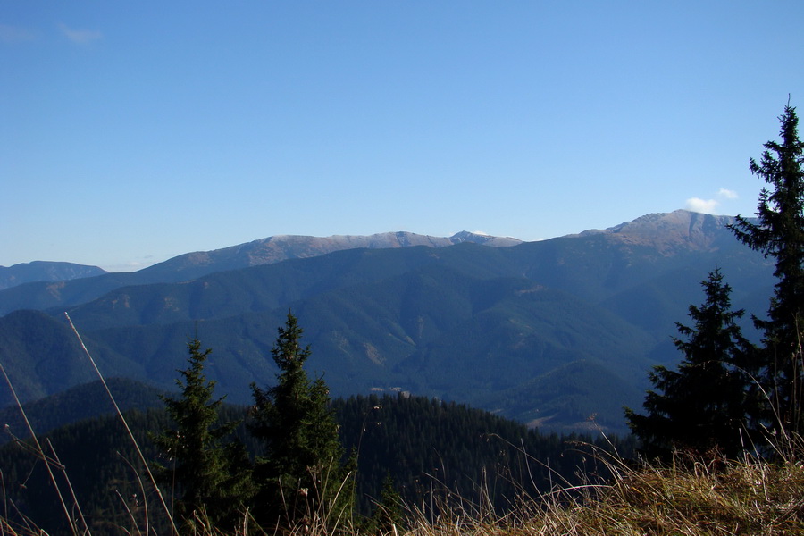 Salatín (Nízke Tatry)