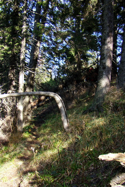 Salatín (Nízke Tatry)