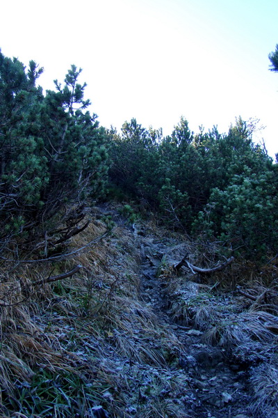 Salatín (Nízke Tatry)