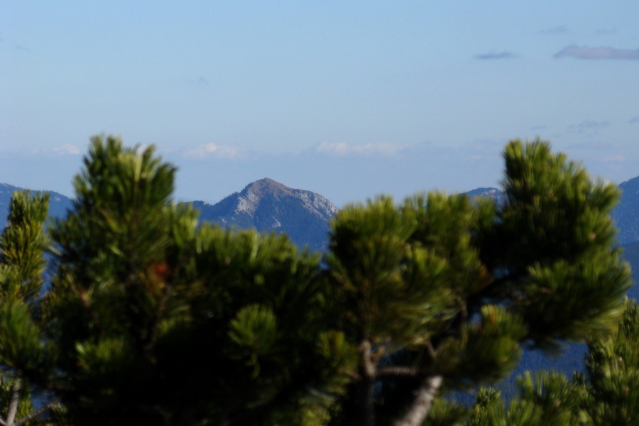 Salatín (Nízke Tatry)