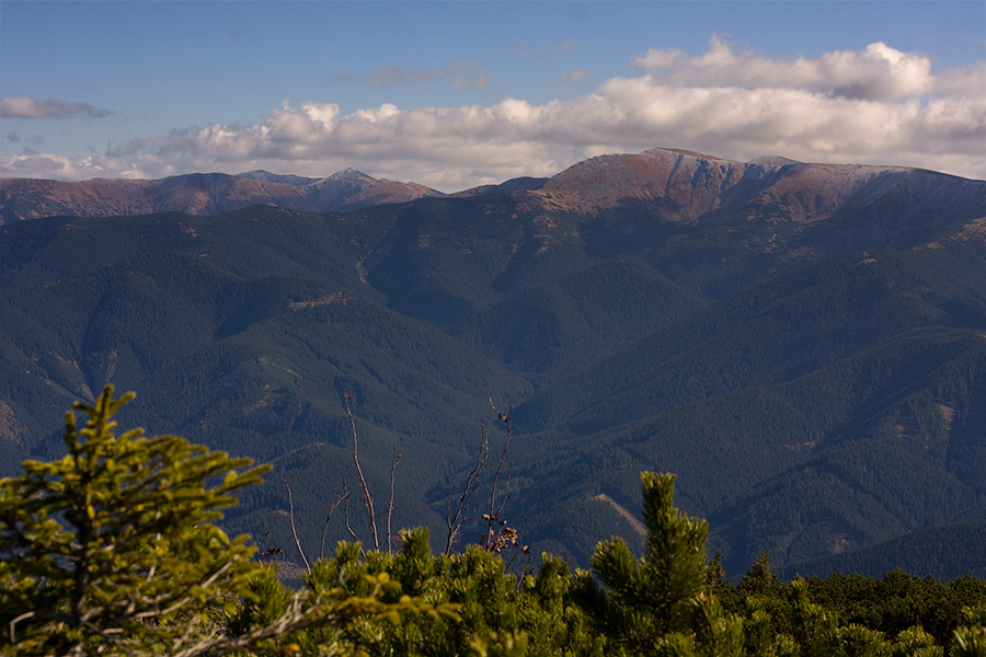 Salatín (Nízke Tatry)