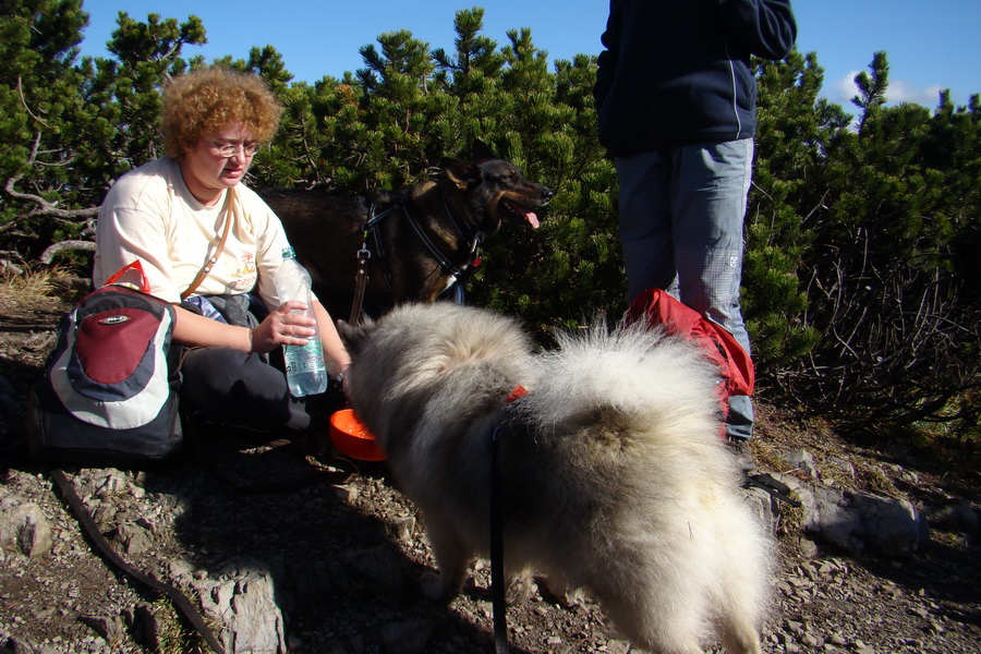 Salatín (Nízke Tatry)