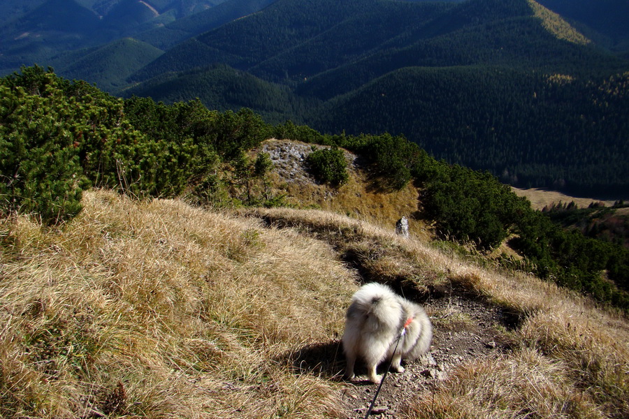 Salatín (Nízke Tatry)