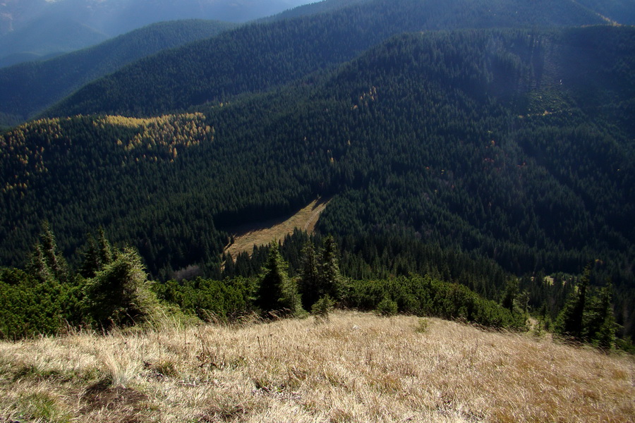 Salatín (Nízke Tatry)