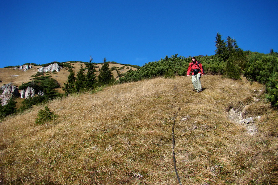 Salatín (Nízke Tatry)