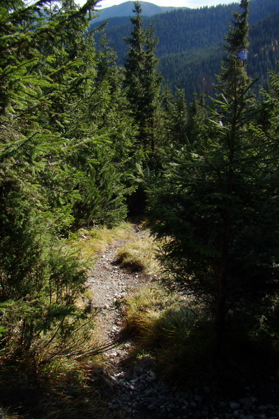 Salatín (Nízke Tatry)