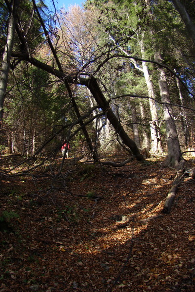 Salatín (Nízke Tatry)