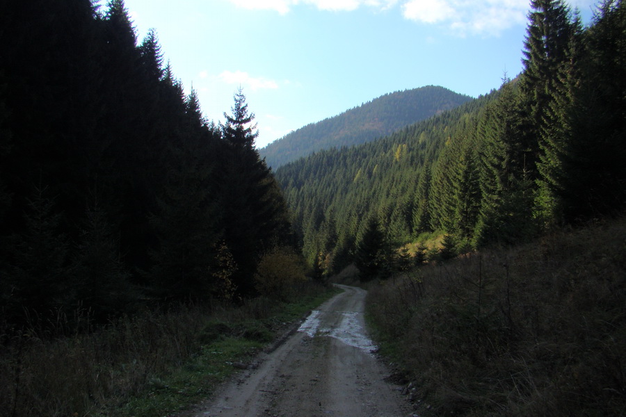 Salatín (Nízke Tatry)