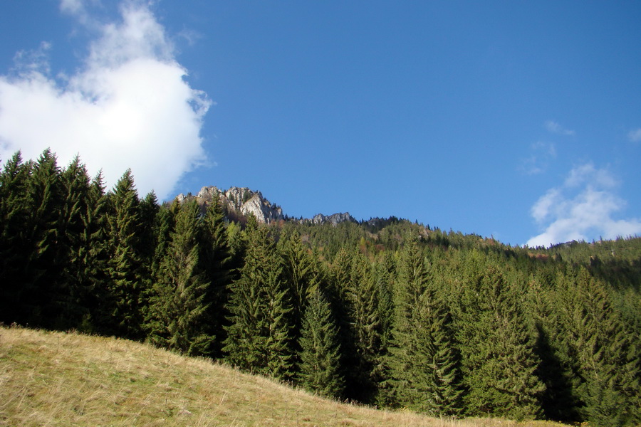 Salatín (Nízke Tatry)