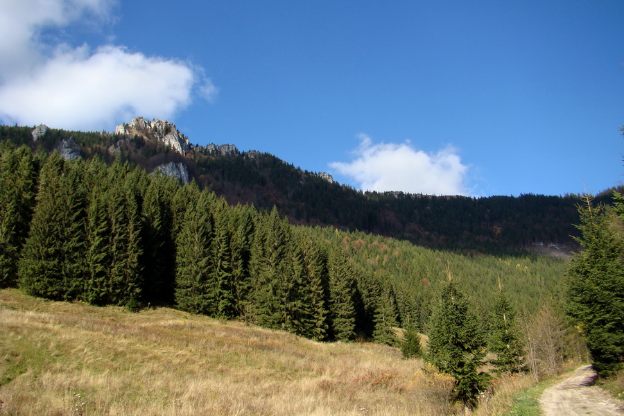 Salatín (Nízke Tatry)