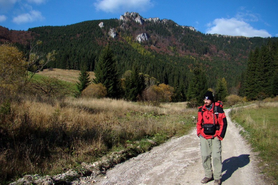 Salatín (Nízke Tatry)