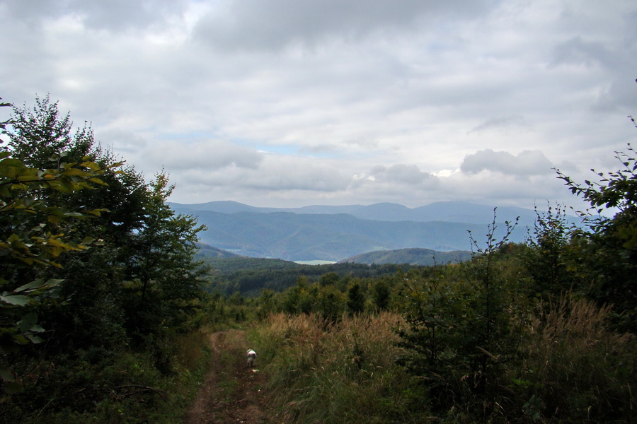 Sedlo Repy (Čierna hora)