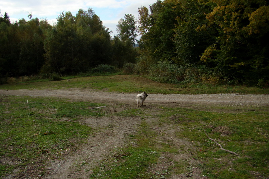 Sedlo Repy (Čierna hora)