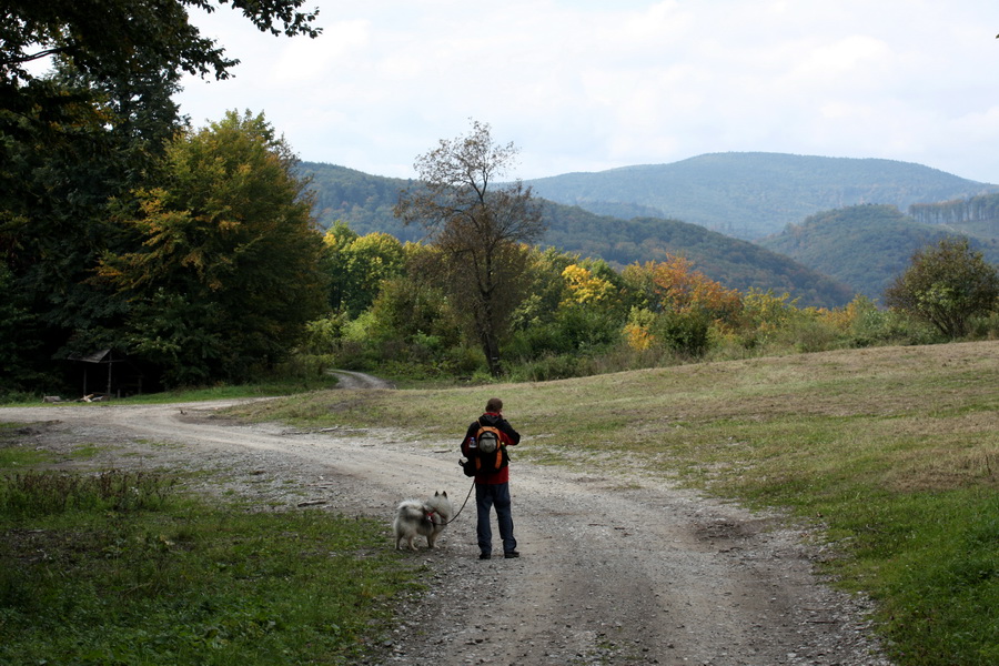 Sedlo Repy (Čierna hora)