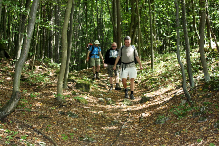 Silická Ľadnica (Slovenský kras)