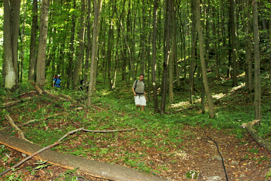 Silická Ľadnica (Slovenský kras)