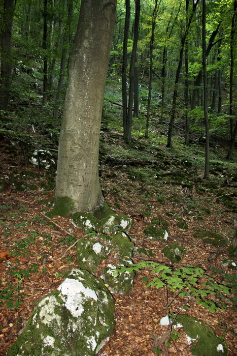 Silická Ľadnica (Slovenský kras)