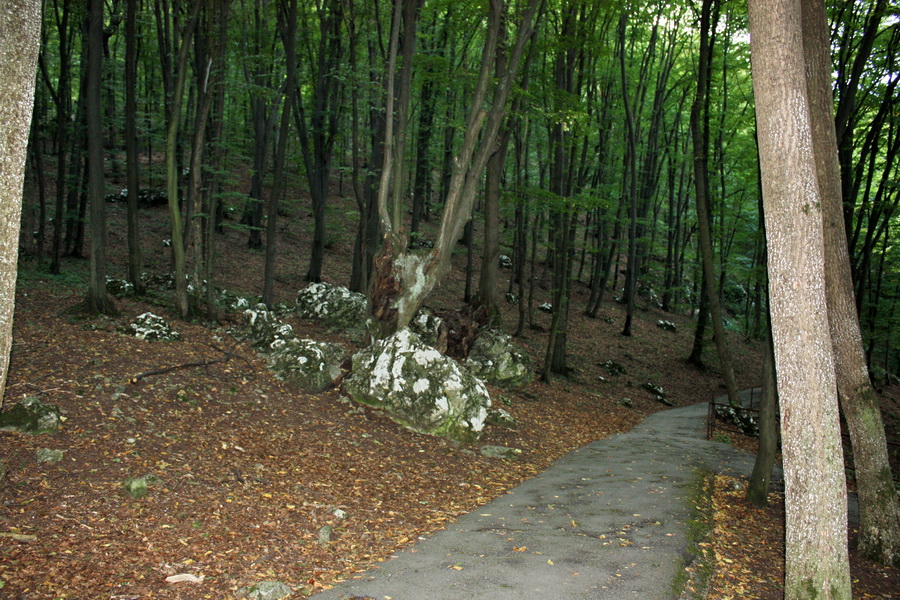 Silická Ľadnica (Slovenský kras)