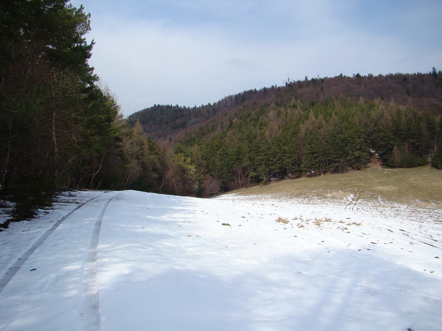 Sľubica (Branisko)