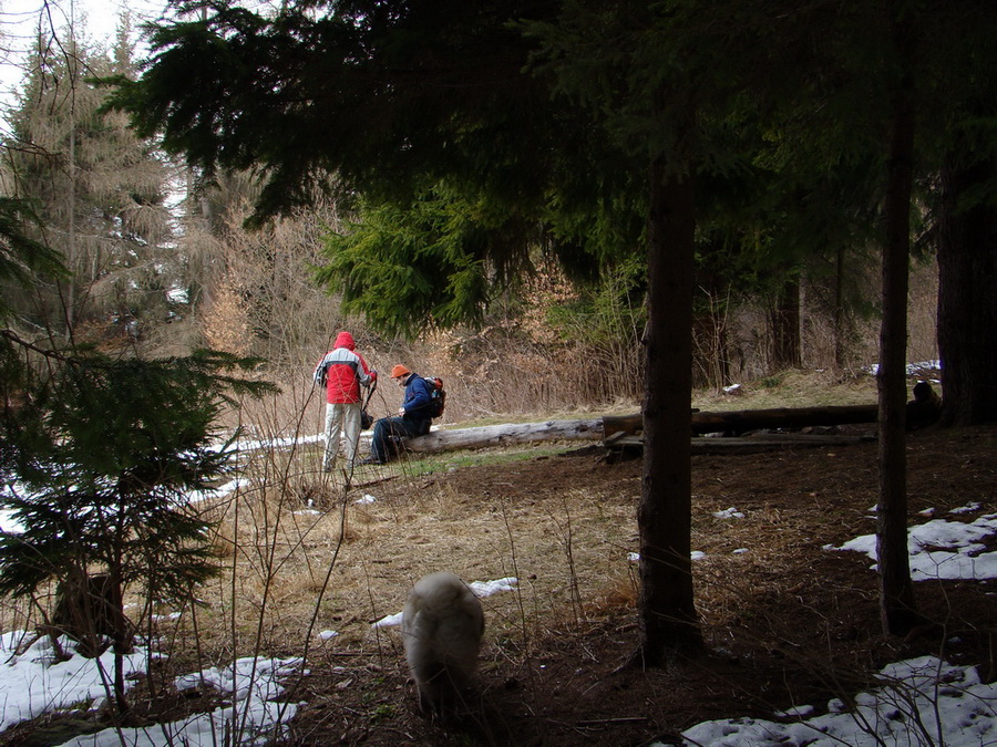 Sľubica (Branisko)