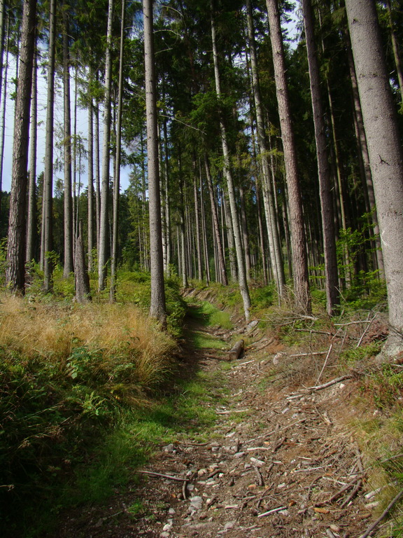 Veľká Knola, Ferdinandka, Pálenica (Volovské vrchy)