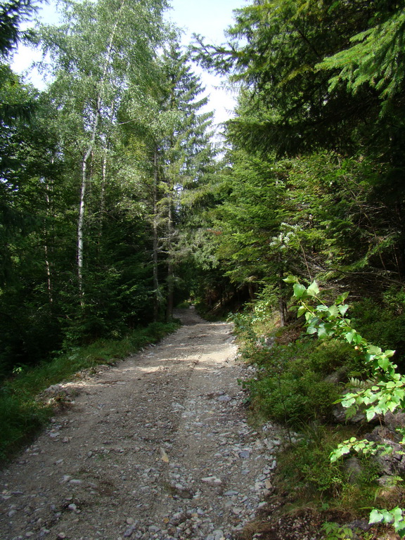 Veľká Knola, Ferdinandka, Pálenica (Volovské vrchy)