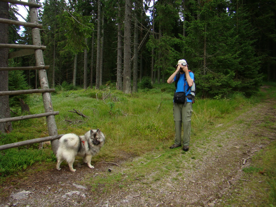 Veľká Knola, Ferdinandka, Pálenica (Volovské vrchy)