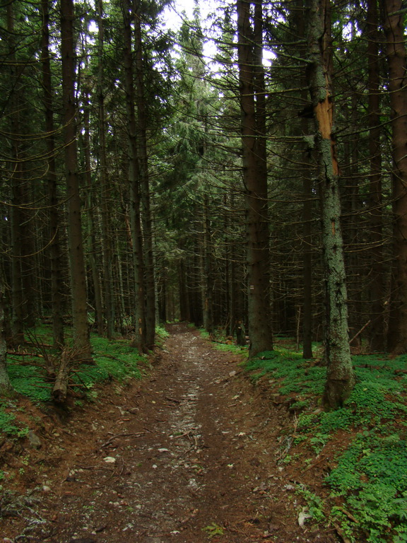 Veľká Knola, Ferdinandka, Pálenica (Volovské vrchy)