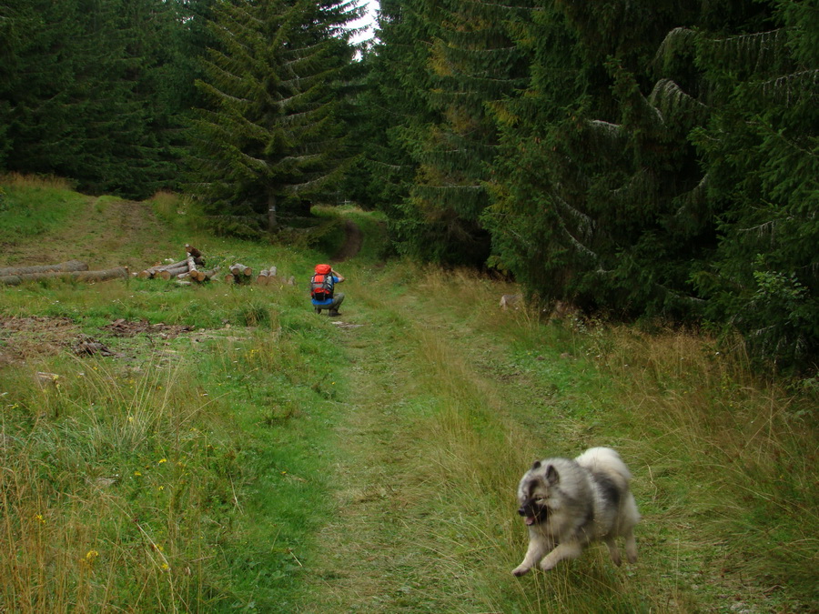 Veľká Knola, Ferdinandka, Pálenica (Volovské vrchy)