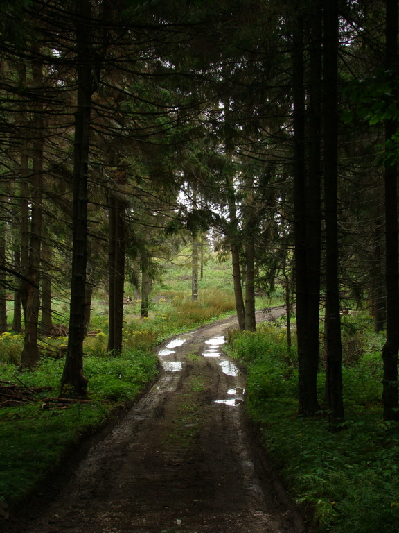 Veľká Knola, Ferdinandka, Pálenica (Volovské vrchy)