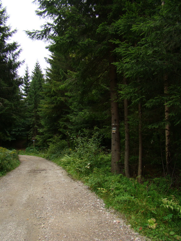 Veľká Knola, Ferdinandka, Pálenica (Volovské vrchy)