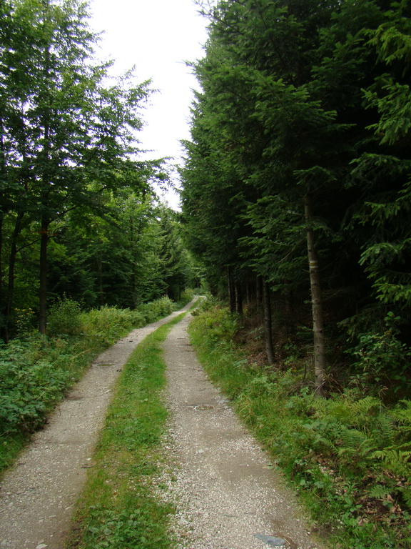 Veľká Knola, Ferdinandka, Pálenica (Volovské vrchy)