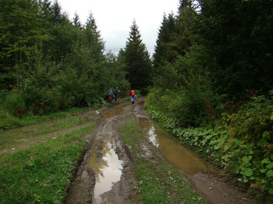 Veľká Knola, Ferdinandka, Pálenica (Volovské vrchy)