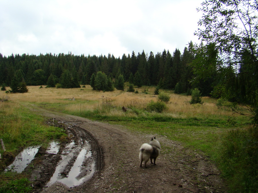 Veľká Knola, Ferdinandka, Pálenica (Volovské vrchy)