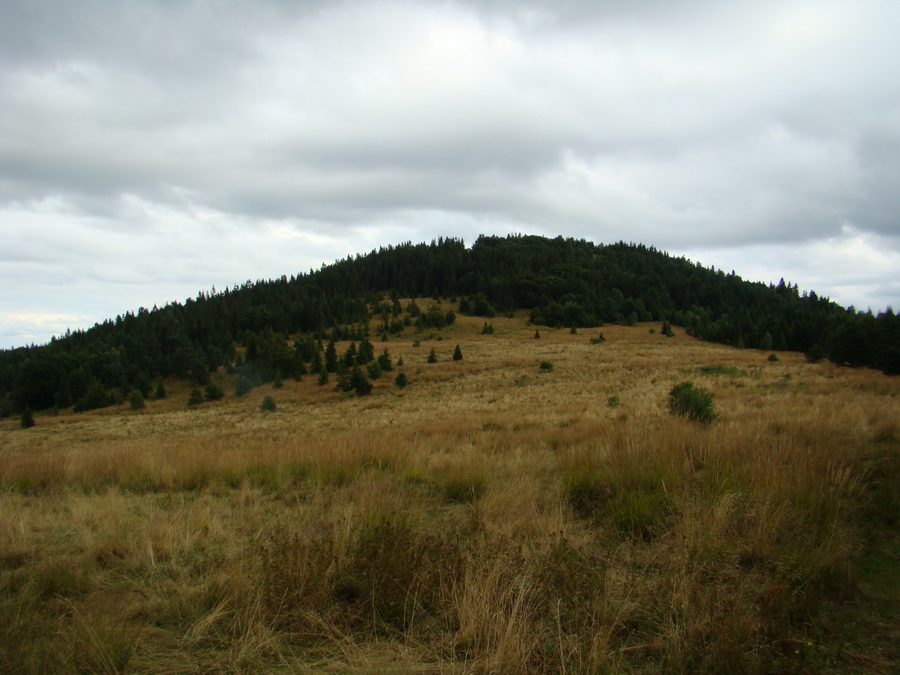 Veľká Knola, Ferdinandka, Pálenica (Volovské vrchy)