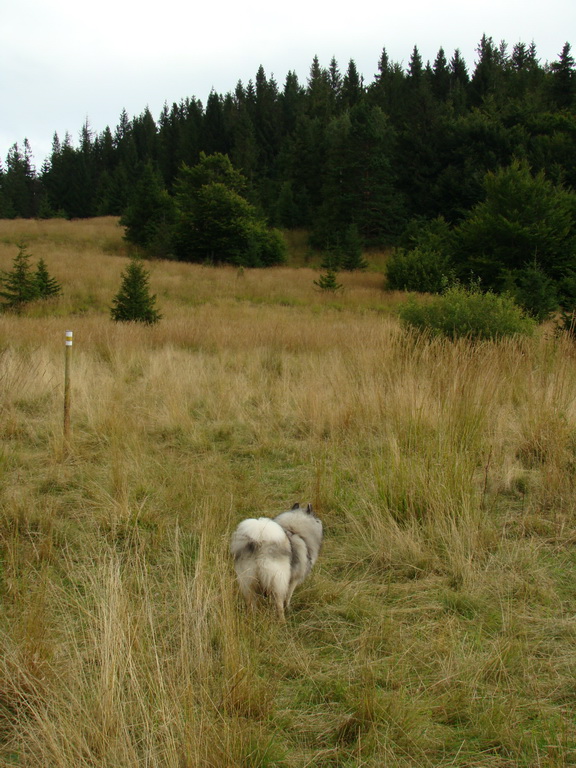 Veľká Knola, Ferdinandka, Pálenica (Volovské vrchy)