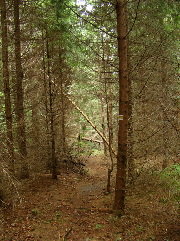 Veľká Knola, Ferdinandka, Pálenica (Volovské vrchy)